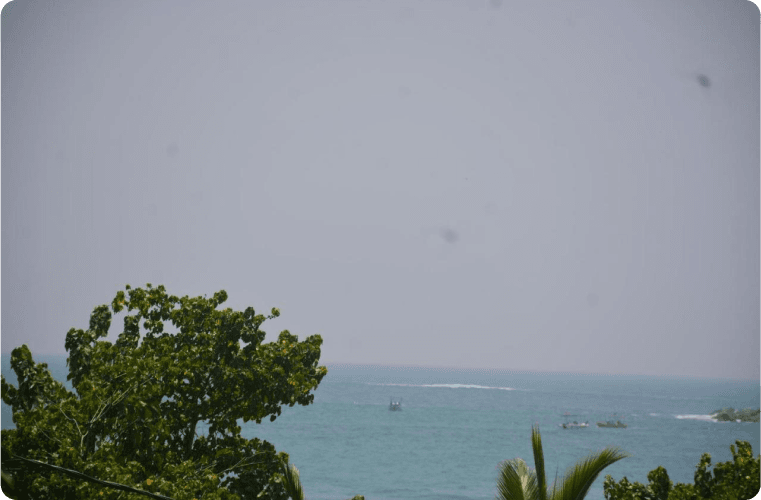 Mornings with a View