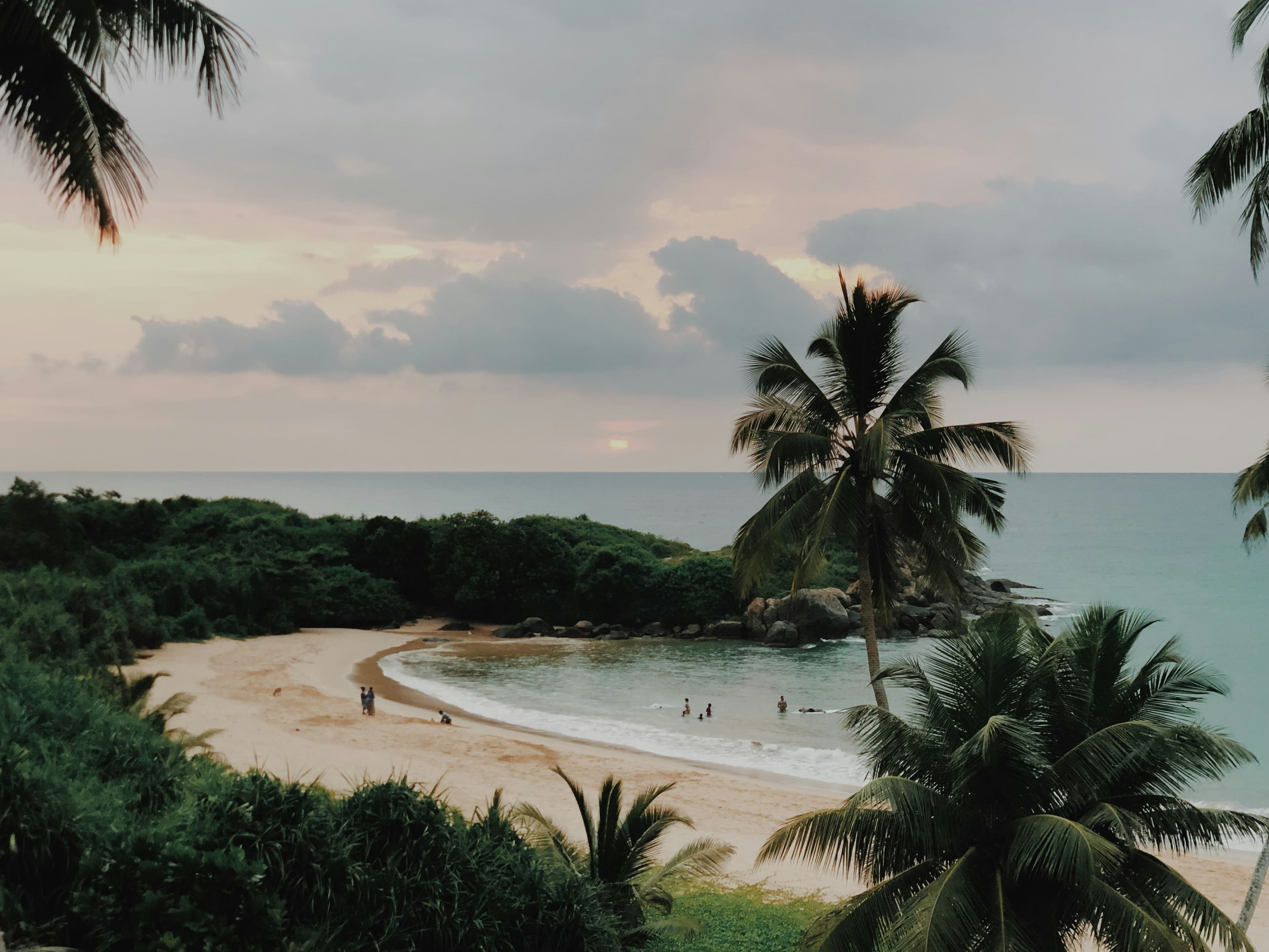Beach view with palm trees